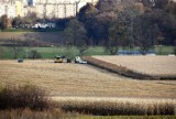 Tarnów. Kukurydziane żniwa w mieście. Na wielkiej plantacji pod Górą św. Marcina pracują ogromne kombajny [ZDJĘCIA]