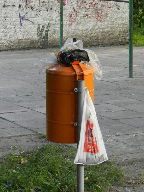 Wrocław: Po psie nie posprzątasz, nawet jeśli chcesz