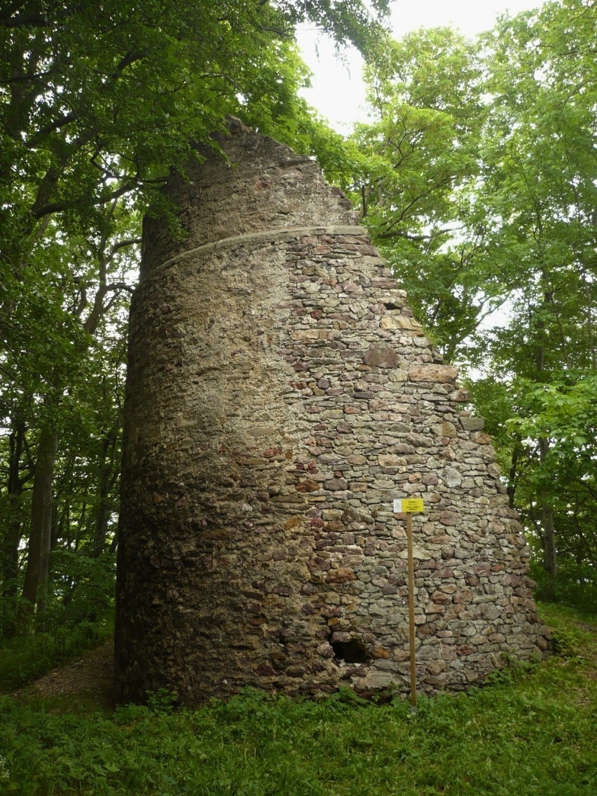 Teren wokół zamku Homole odzyskuje dawny blask (ZDJĘCIA)