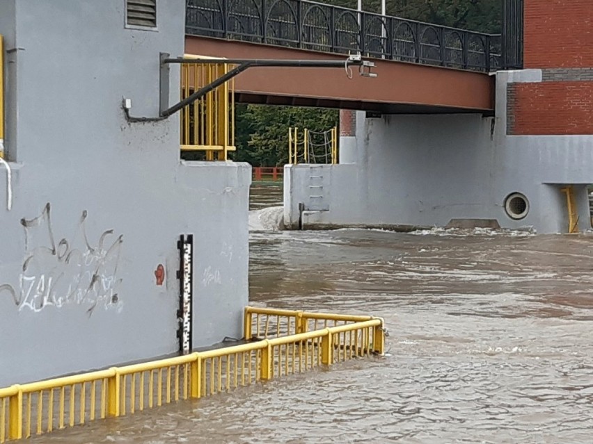 Czy we Wrocławiu będzie powódź? Fala kulminacyjna w poniedziałek