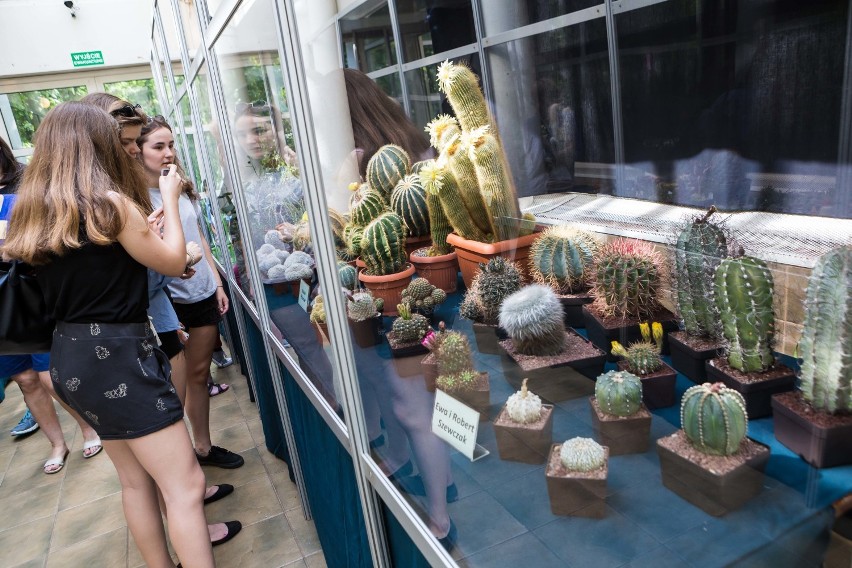Wystawa kaktusów w Ogrodzie Botanicznym