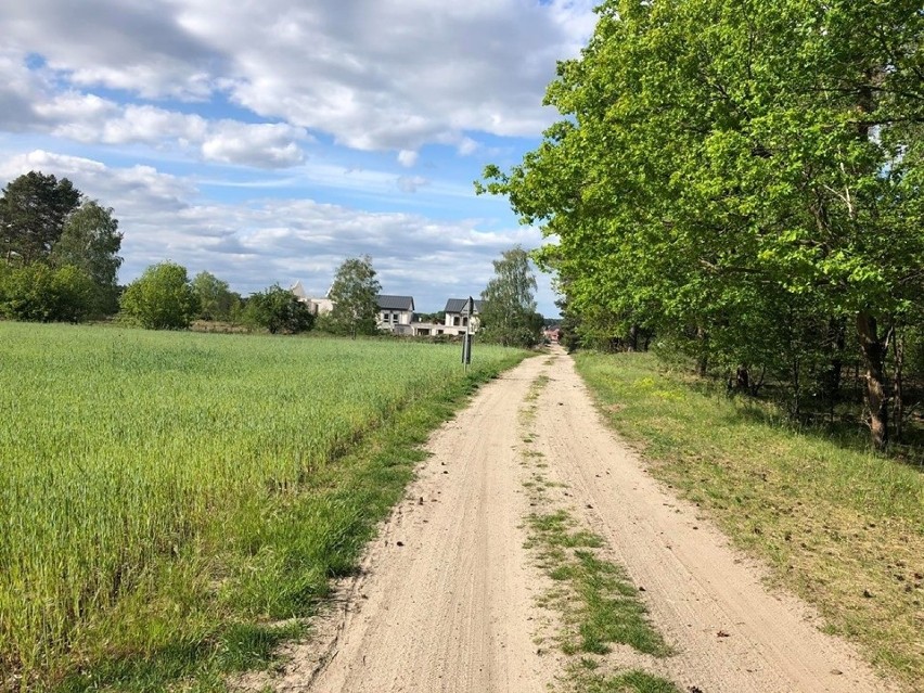 Zielona Góra Przylep od strony osiedla Leśnego wygląda nieco...