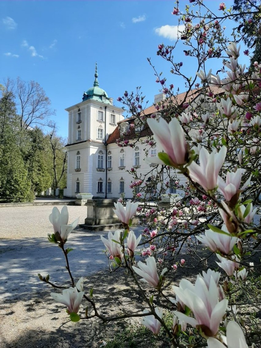 Ogród w Nieborowie i park arkadyjski otwarte dla odwiedzających [ZDJĘCIA]