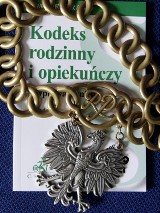 Policjanci zatrzymali 15-latka. Chłopak na swoim koncie ma liczne włamania i kradzieże 