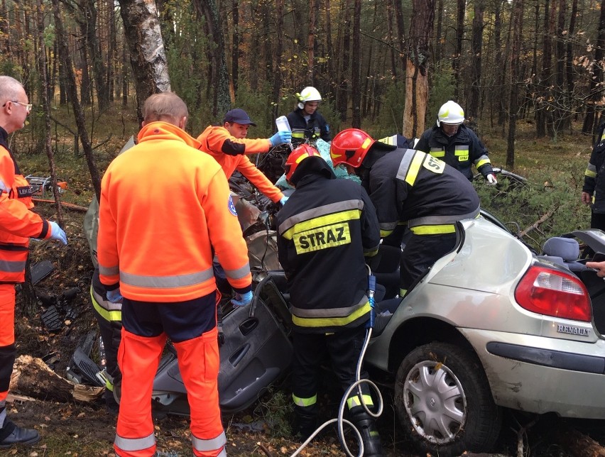 Poważny wypadek we Włoszczowie. Samochód uderzył w drzewo. Kobieta w ciężkim stanie