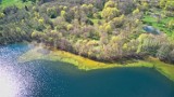 Suwalszczyzna i Mazury z lotu ptaka. Te widoki zapierają dech w piersiach (zdjęcia)