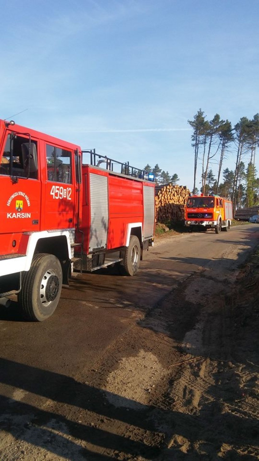 58 strażaków walczyło z pożarem w gminie Dziemiany. Wszystko wskazuje na to, że doszło do podpalenia [ZDJĘCIA]