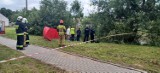 Ciało pływało w stawie, obok kościoła. Tragedia w Parzymiechach koło Kłobucka. Martwy mężczyzna to 43-latek z Częstochowy