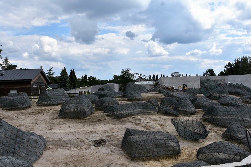 Rozbudowa ogrodu zoologicznego w Zamościu