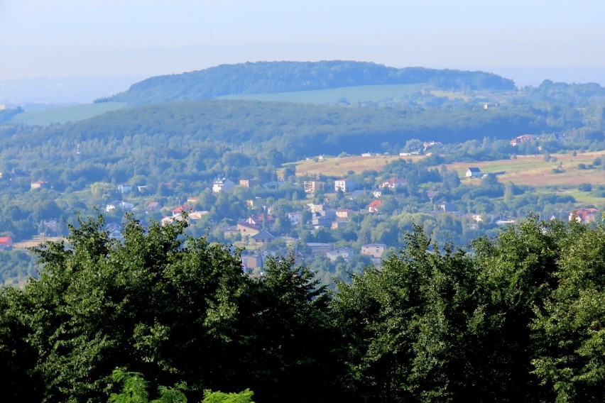 Wieża widokowa w Górze Siewierskiej pozwala także zobaczyć...