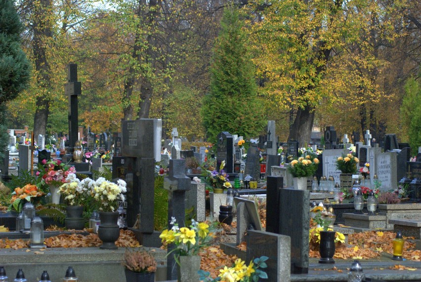 W okresie Wszystkich Świętych na bytomskich cmentarzach będą prowadzone kwesty