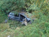 Wypadek na drodze wojewódzkiej nr 186 Międzychód - Sieraków: samochód osobowy wypadł z drogi, kierowca był kompletnie pijany