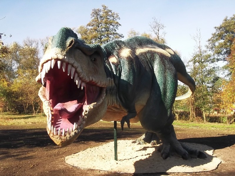 12 figur dinozaurów stoi już w parku Wrocławskim w Lubinie....