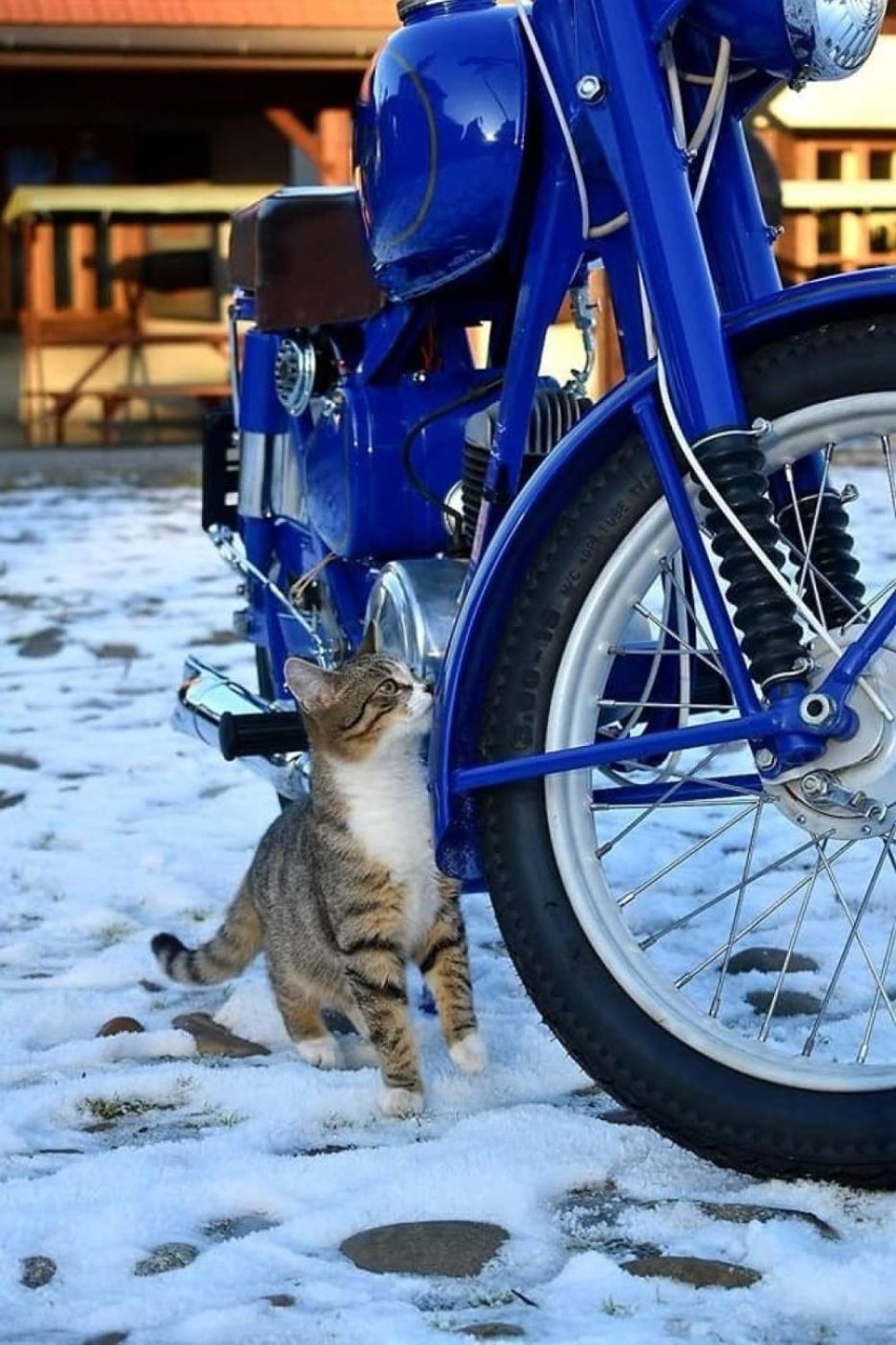 Motocykl WSK M06 z 1958 roku na aukcje WOŚP przekazał grupa...