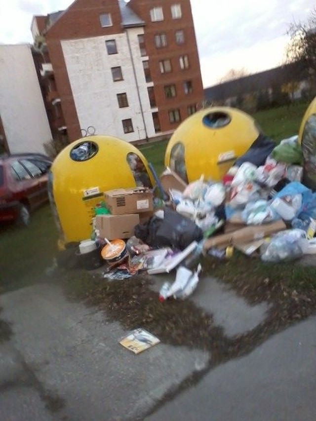Chełm. Podatek śmieciowy 2013 - zdjęcie naszej czytelniczki. Mieszkańcy skarżą się, że mimo, że płacą regularnie śmieci są odbierane z późnieniem, a z kontenerów się "wysypują".