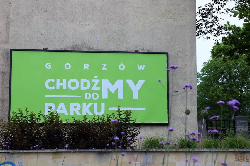 Zielone grafiki pojawiły się na mieście. Rusza nowa, miejska kampania