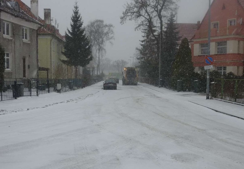 Zima kontraatakuje również w powiecie malborskim