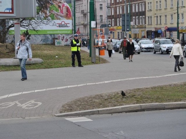 Aby ograniczyć liczbę potrąceń pieszych, od 1 czerwca zakazane ...