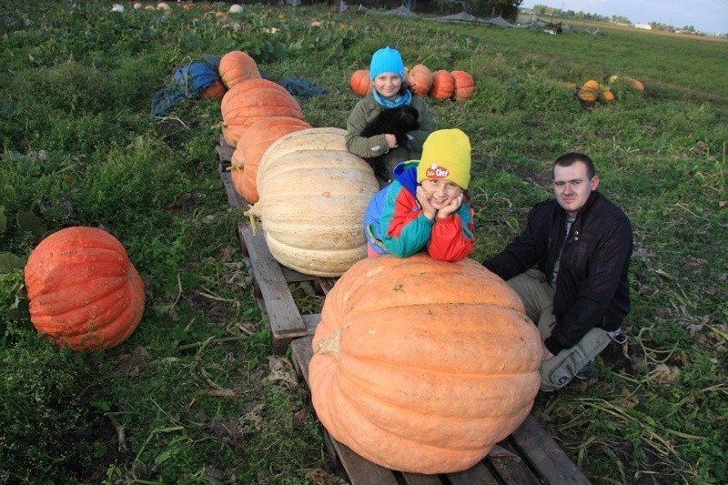 Kawałek Ameryki w Miechowie (ZDJĘCIA)