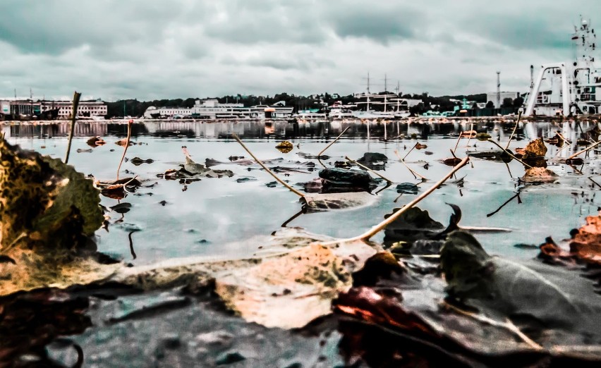 Gdynia w Waszym obiektywie. Nasi Czytelnicy kolejny raz nie zawiedli. Symbole miasta i Magda Gessler na fotografiach  