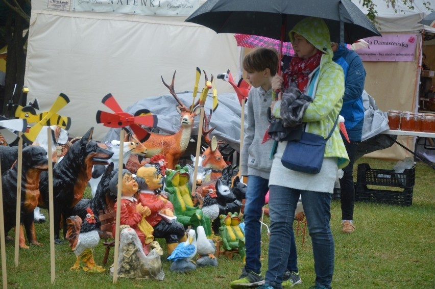 Dary Ziemi w Gdyni są co roku wielką atrakcją dla miłośników...