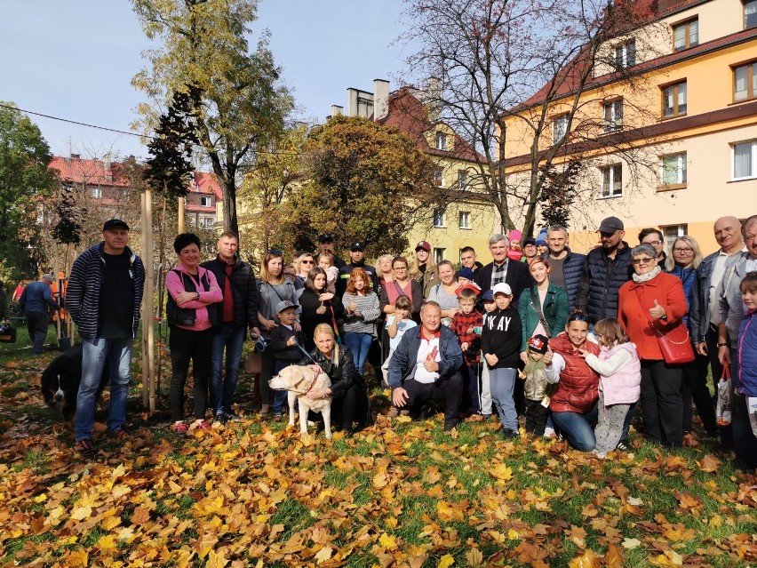 Czeladź: mieszkańcy posadzili drzewa na osiedlu. To była udana akcja [ZDJĘCIA]