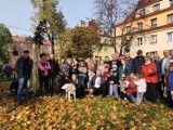 Czeladź: mieszkańcy posadzili drzewa na osiedlu. To była udana akcja [ZDJĘCIA]