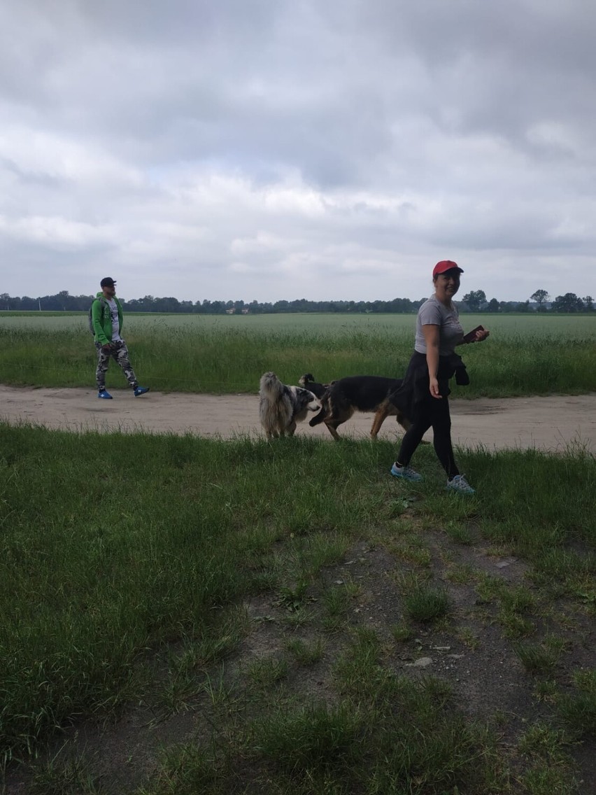 Młodzież z Centrum Kształcenia i Wychowania OHP wyprowadziła na spacer bezdomne psy z czermińskiego azylu