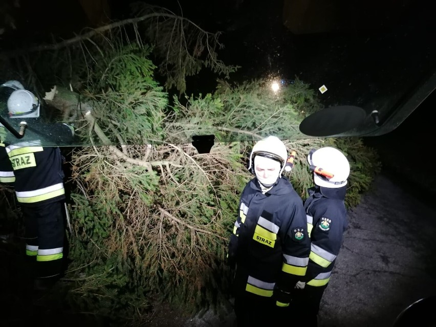 Orkan Nadia szalał nad powiatem bytowskim. Ucierpiał jeden ze strażaków OSP| ZDJĘCIA