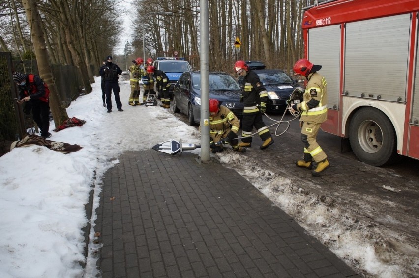 Sarna zaklinowała się w ogrodzeniu cmentarza w Słupsku. Pomogli strażacy [ZDJĘCIA]