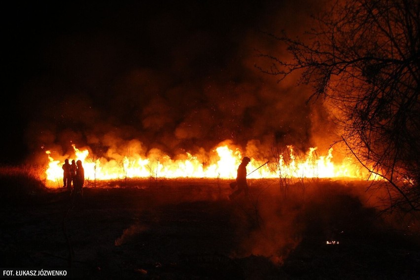 Pożar w Michałowicach - 25.03.2022r.
