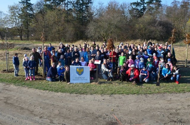 Władze Dąbrowy i jej mieszkańcy pomagają w utrzymywaniu zabytków, organizują imprezy kulturalne i sportowe, współpracują z organizacjami społecznymi, kulturalnymi i sportowymi.