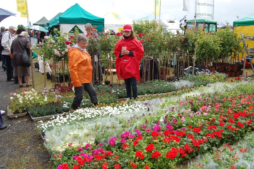 Targi rolno-przemysłowe w Lubaniu w gminie Nowa Karczma 2012 przyciągnęły mieszkańców całego Pomorza