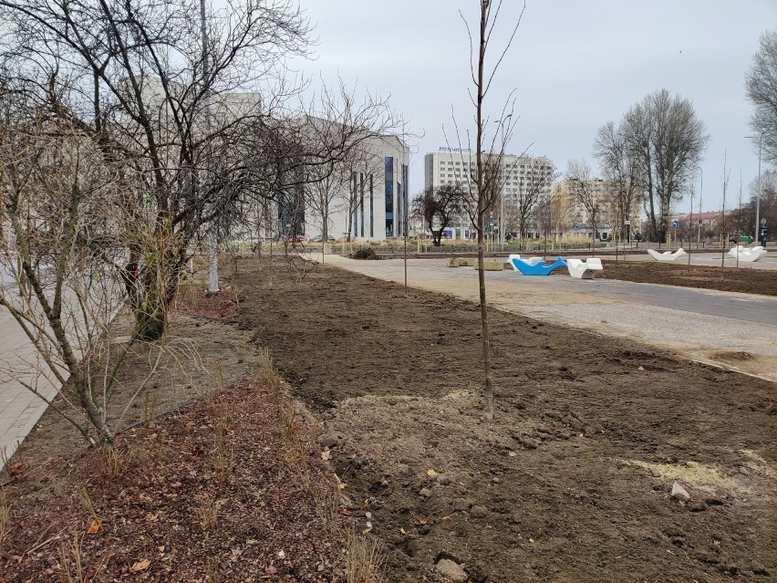 Parking przy gdyńskiej plaży przechodzi metamorfozę. Będzie więcej zieleni. Zobaczcie zdjęcia