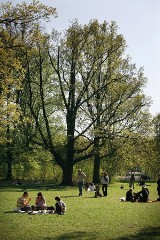 Sposób na niedzielę, czyli co się dzieje we Wrocławiu