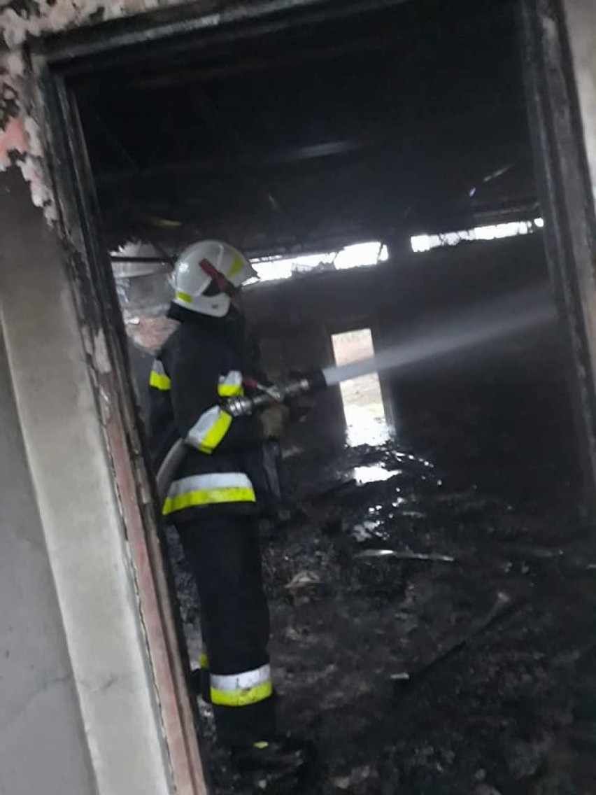 Pożar dawnego ośrodka Borki nad Zalewem Sulejowskim [ZDJĘCIA]