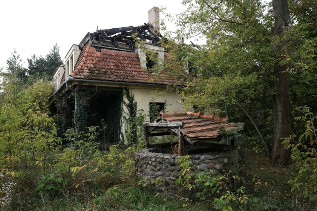 Budynki, niegdyś przyjmujące każdego dnia wielu gości, powoli niszczeją. Nie brakuje tam też stert śmieci i ogólnego bałaganu.

Więcej zdjęć ---->