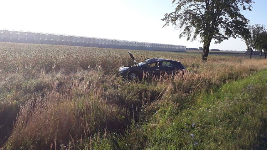 Wypadek miał miejsce w niedzielny poranek na drodze krajowej nr 12