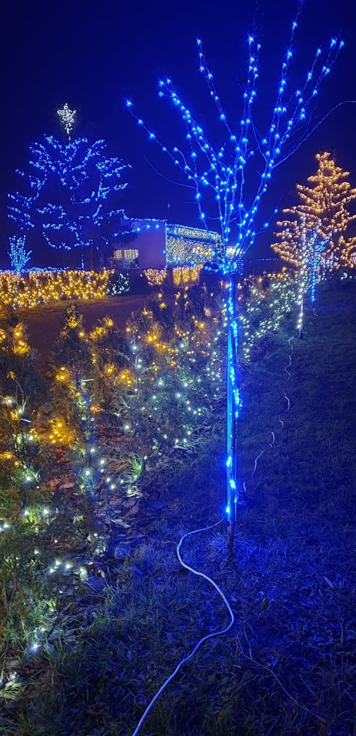 Świąteczna iluminacja w Maksymowie