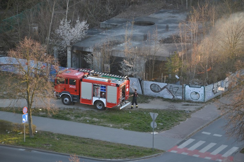 Pożar przy ul. Wyszyńskiego w Zielonej Górze. Paliło się na terenie pustostanu 