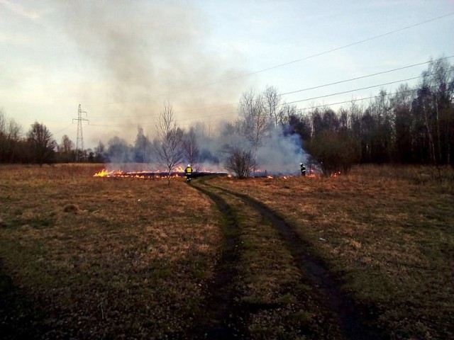 Pożary traw w Katowicach