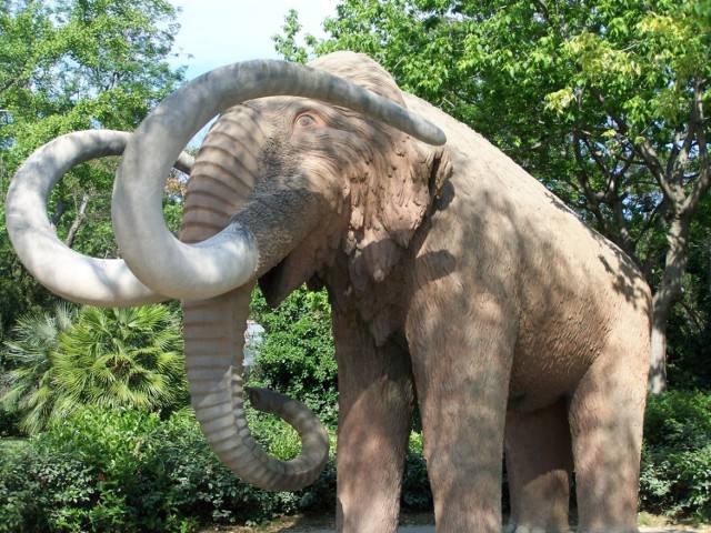 Kamienny mamut - Park Ciutadella. Fot. Beata Dymarska