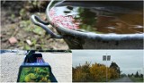 Zbiorniki na deszczówkę, ekologiczne ławeczki i hybrydowe oświetlenie w gminie Sękowa za sprawą projektu Związku Gmin Dorzecza Wisłoki