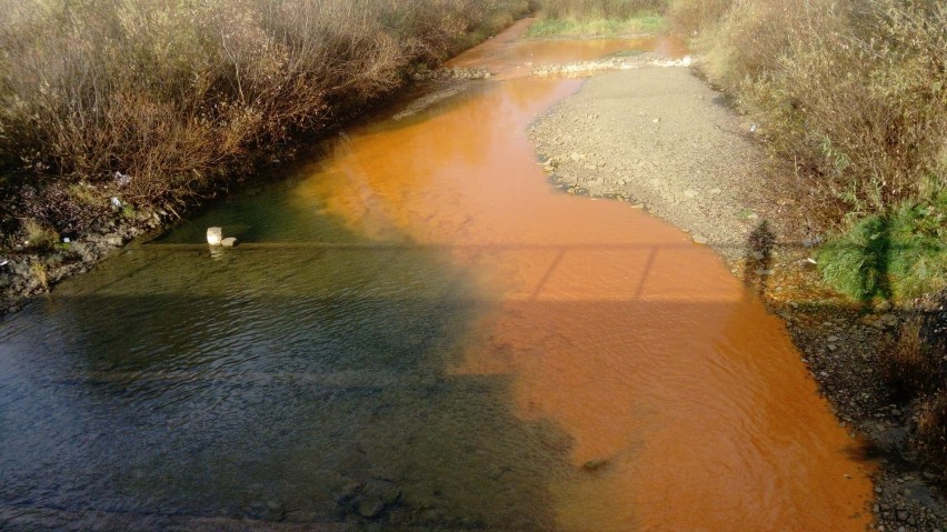 Rzeka Muszynka skażona? Czerwono-rudą substancję już badają