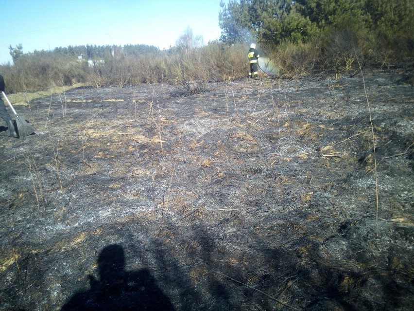 Pożar trawy i wypadek w Bojanie