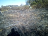 Płonęły trawy w Bojanie. Dwa pożary w ciągu jednej niedzieli plus wypadek drogowy [ZDJĘCIA]