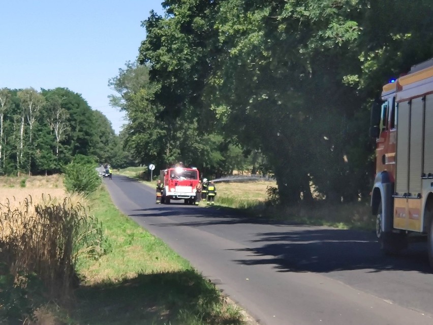 Leszno. Trzy pożary pod Gronówkiem. To podpalenia? Sprawę bada policja [ZDJĘCIA]