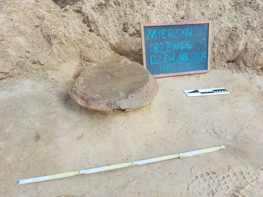 Kolejne odkrycie archeologiczne nad Jeziorem Mierzyńskim....