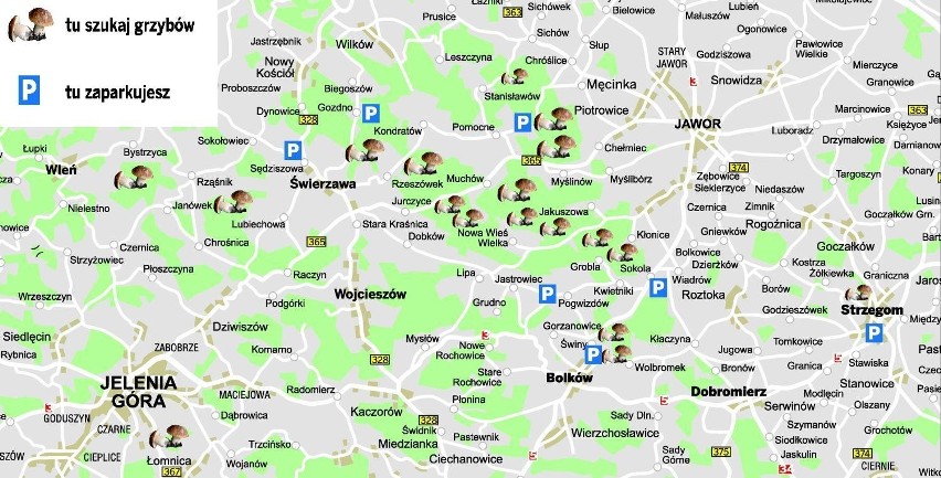 Mapka powstała we współpracy z Regionalną Dyrekcją Lasów...