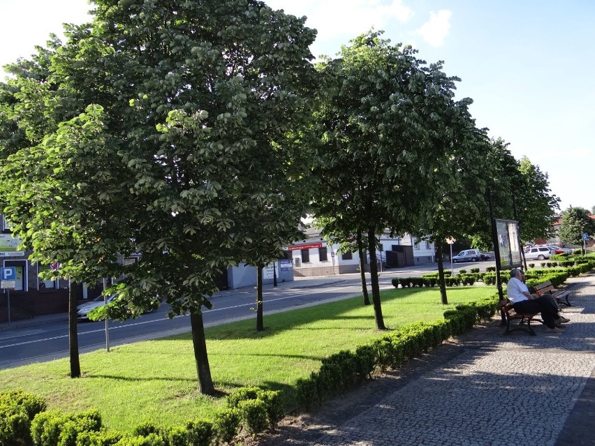Plac Wolności w Działoszynie. Fontanna i alejki pełne zieleni przyciągają mieszkańców [ZDJĘCIA]